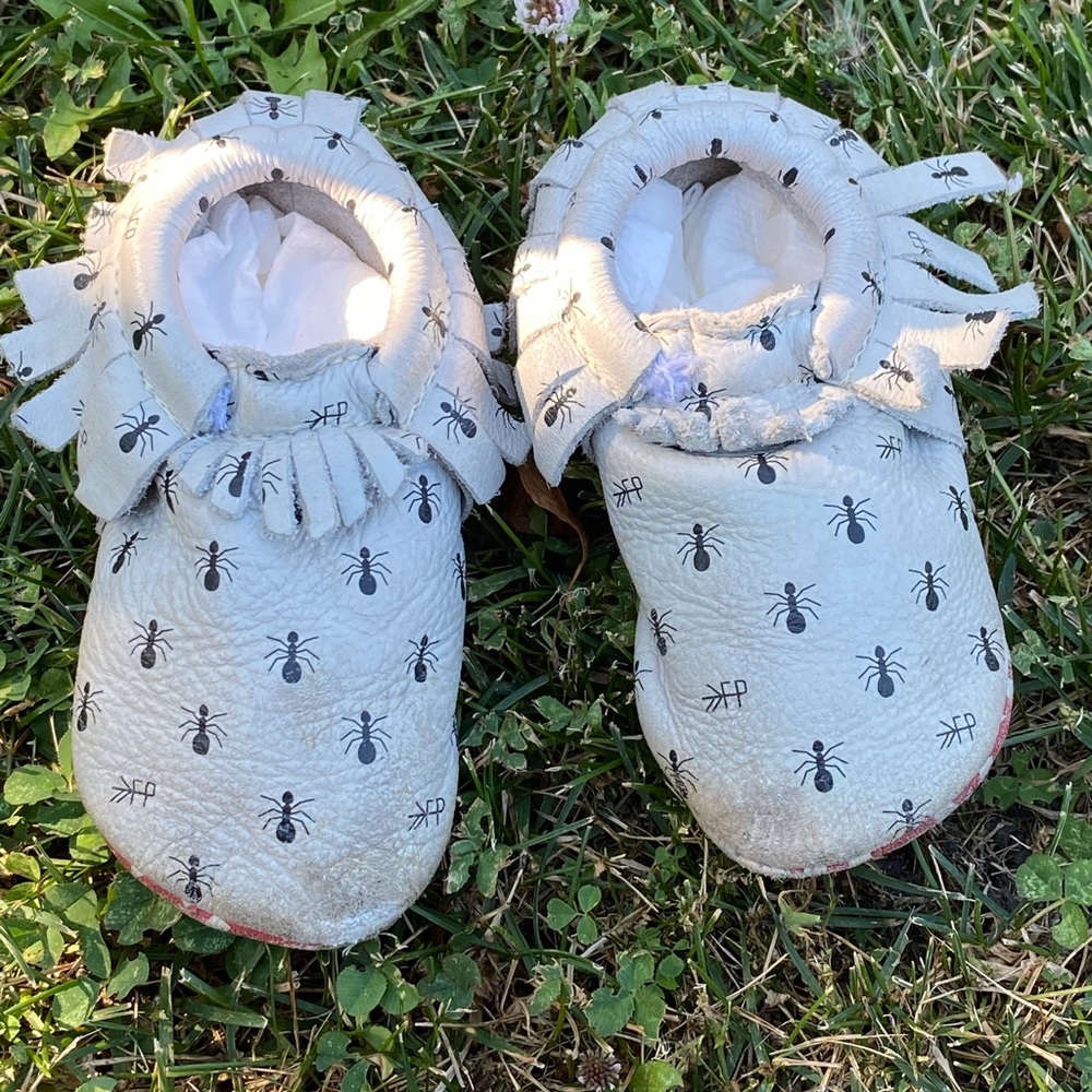 Freshly picked “Picnic” ants, retired moccasins